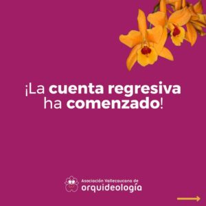 74b32d30-13c4-40b0-9631-b5ca693bc67f