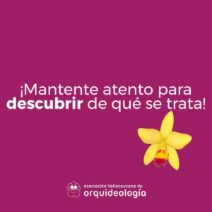 bba96483-9084-4a1a-8bf1-4b581c3bd66b