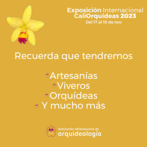 Malla evento-05