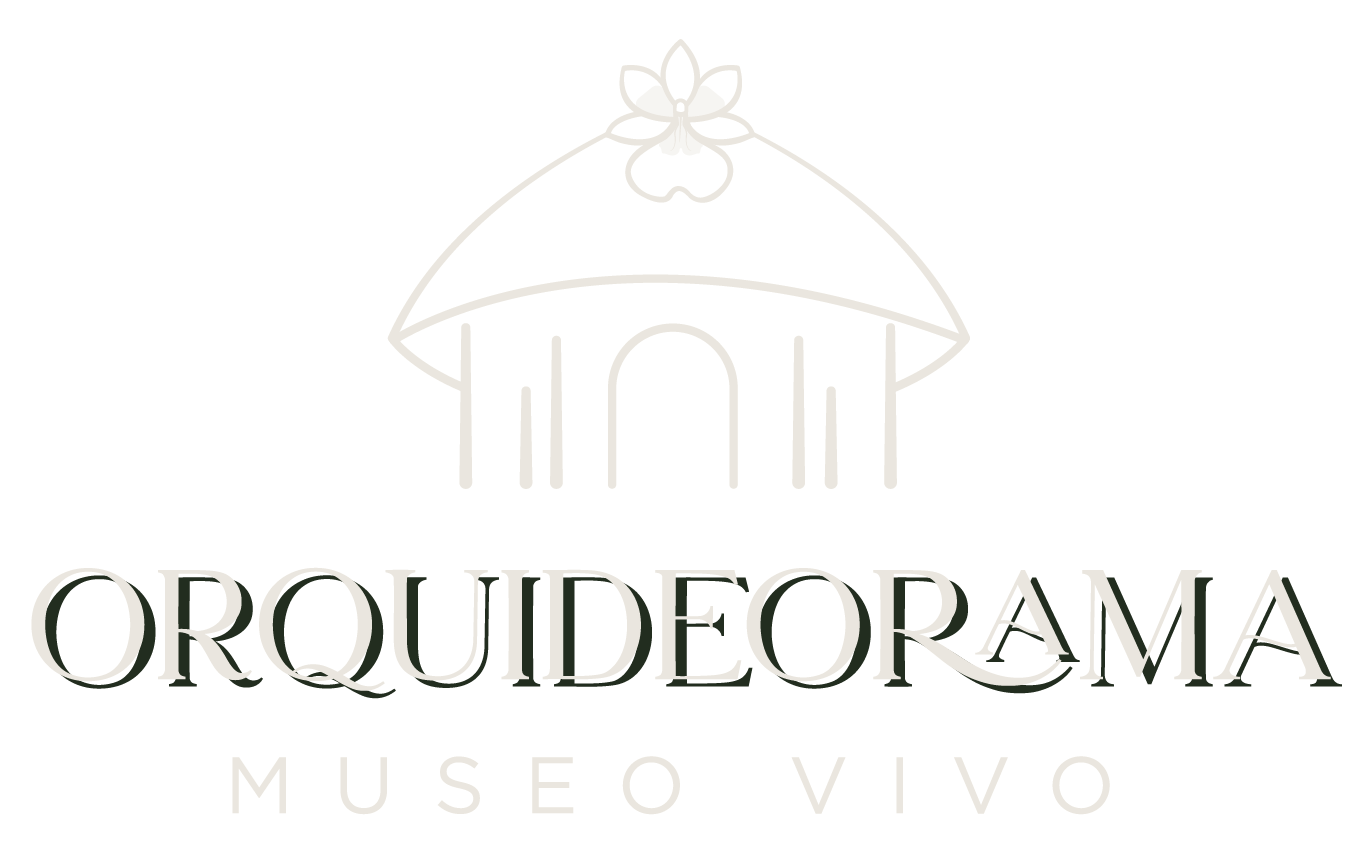 LOGO EN NEGATIVO ORQUIDEORAMA LOGO EN NEGATIVO ORQUIDEORAMA