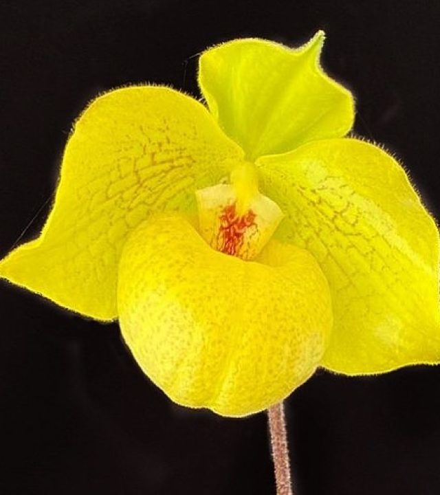 245871957_1489776404738404_2203949589317414528_n