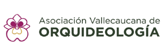 AVO curvas_Mesa de trabajo 1 (1)(1)